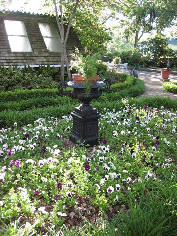Belle Oaks Inn Gonzales ภายนอก รูปภาพ